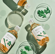 ROUND LAB Mugwort Calming Toner 300ml